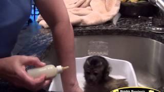 Bathtime For Chip