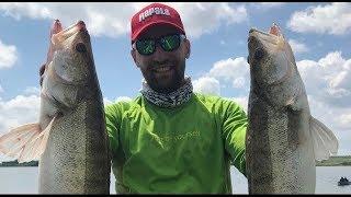 Salai prinsi cu Orka Shad 9cm & Storm Largo Shad la Cupa Rapala-Storm 2018