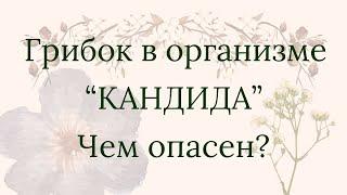 Чем Опасна "Кандида"  | "Академия Здоровья" Юлии Лещинской