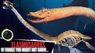 10 THINGS YOU MIGHT NOT KNOW ABOUT...ELASMOSAURUS - Beyond the Park