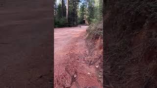 Dirt biking #biking#dirtbiking#outdoorexploration