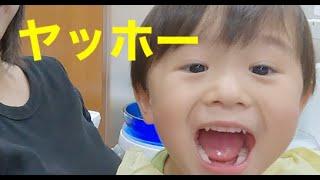 ヤッホー‼️お兄ちゃんになりました⭐️｜予防歯科　原歯科医院【調布市・八雲台・布田駅】