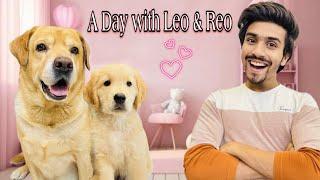 A Day With Leo & Reo | Leo Ke Baby Ki First Bath | Anant Rastogi