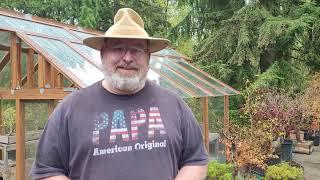 PSBA member Bonsai garden visit with Steve Piper