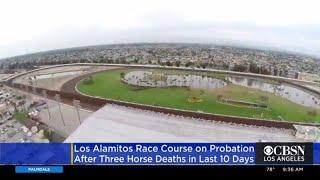 Los Alamitos Racetrack On Probation