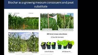 18. Green Carbon Webinar - Biochar as a growing medium constitute and peat substitute