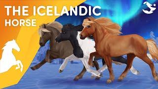 The UPDATED Icelandic! | Star Stable Horses
