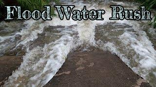 Flood Water Rush