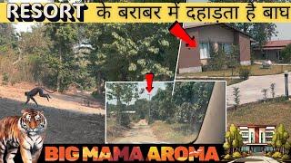 Resort के बराबर में घूमते हैं बाघ | Big Mama Aroma | Jim Corbett National Park #tiger #uttarakhand