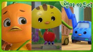 [엄마까투리4 HL] 꽁지우산, 친구를 도와줘요! 외 | 엄마 까투리 | 까투리 | Katuri | 하이라이트 시즌4 제1~26화