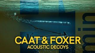 H1MIN: CAAT AND FOXER ACOUSTIC DECOYS