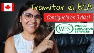 ¿Cómo tramitar el ECA con WES? Guía PASO A PASO, precio, resultados | Acredita estudios en Canadá