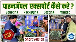 पाइनॲपल एक्सपोर्ट कैसे करे ? How to export Pineapple ? India Fruits Export  Pineapple Export Success