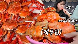 I ate 30 red crabs by myself, so the boss came in while working and applauded me. MUKBANG!