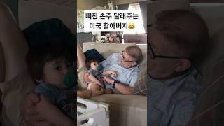 1살 손주 놀린 미국 할아버지.(feat.달래주기)