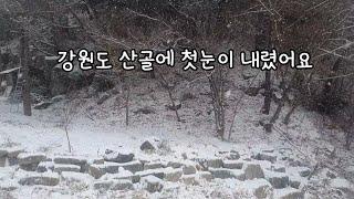 #첫눈#힐링영상 눈오는날 산골풍경(강원도 평창)