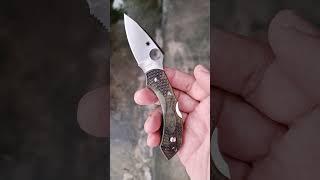 Spyderco Dragonfly 2 FRN Zome Green #edc #everydaycarry #foldingknife #gear #spyderco #knife