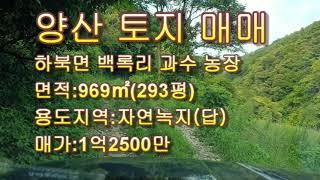 양산 토지 매매/하북면 부동산 매매/ 백록리 과수농장 급매/경남일원 토지전문  매물접수 상담환영 T)055-363-0015