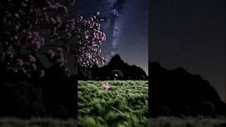 Amazing Night Landscapes | Magical Nature Under the Stars #MagicMoment #Shorts