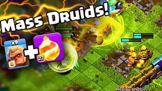 MASS DRUID is going to DOMINATE Legend's League this season | Druid Attack CoC