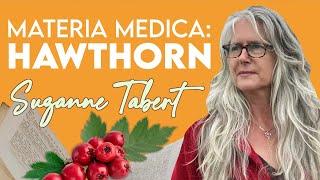 HAWTHORN: The "Everything is Going to be Okay" Herb | Suzanne Tabert