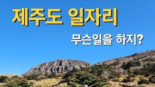 제주살이|제주도일자리|제주도직업|제주도취업|제주도일|제주도알바