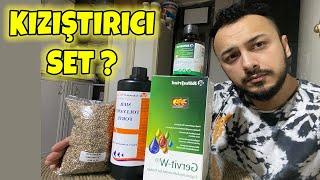 MUHABBET KUŞU İÇİN KIZIŞTIRICI SET ? ÜREME TAKVİYESİ