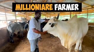 How a Young Ghanaian Engineer is Building the Country’s Largest Intensive Cattle Farm.