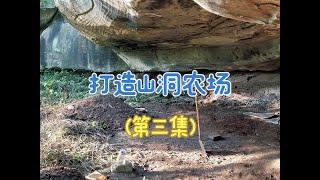 第六集， 打造山洞农场，今天把鸡棚搭起来，养几十只鸡在山洞农场#三农 #农村创业养殖