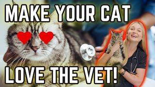 How To Make Your Cat Friendly For the Veterinarian? | Easy Cat Handling Tips