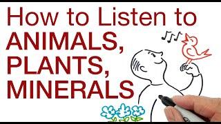 How to listen to animals, plants and minerals by Hans Wilhelm