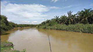 MANCING IKAN DI SPOT SPOT JANDA LAWA.LAMA TAK ZIARAH MASIH RINDU PADA KU RUPANYA.