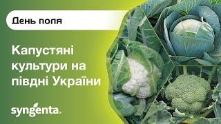 День поля «Капустяні культури на півдні України»