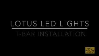 Lotus Led Lights T-Bar Installation