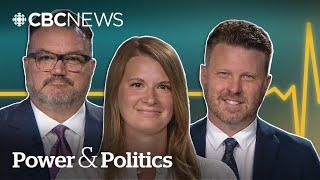 How should Canada respond to Trump’s Oval Office blow-up? | Political Pulse Panel