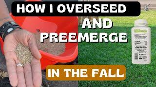 How To Overseed and Pre Emerge In the Fall and the BEST Fertilizers to Use