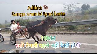 Adhira Jhotta Race || Motla Army|| Jhota Race #2024 #jhottarace #gangasnan2024