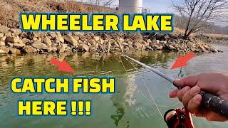 CATCHING FISH on BIG MINNOWS !! ( How To and Where to Look )