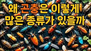 왜 곤충은 이렇게 많은 종류가 있을까? #곤충다양성 #생물학 #지구생태계