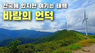 (전망대 일방통행 안내 포함) 해발 1304m 매봉산 배추밭, 바람의 언덕 (태백 매봉산 풍력발전단지, 풍차) 태백여행. Korea's Highland Cabbage Patch.