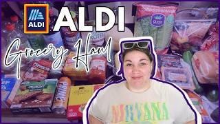 FOUND SOMETHING I'VE BEEN LOOKING FOR | 1-Week Grocery Haul & Meal Plan | ALDI HAUL JUNE 2024