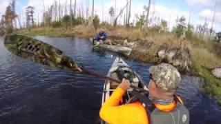 Okefenokee Swamp Fishing