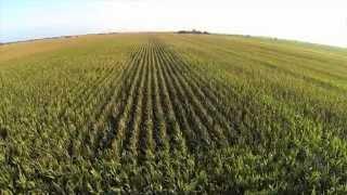 Drones Poised to Elevate Agricultural Efficiency