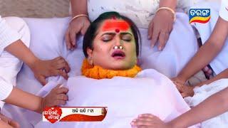 Tori Pain To Pain | Episodic Promo 481 review | 22th Nov 2024 | Tarang TV| Shorts