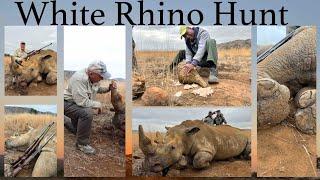 White Rhino Hunting, The Preservation Of a Species Through Hunting