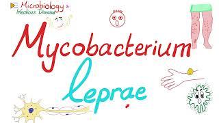 Mycobacterium leprae - Leprosy -  Microbiology  & Infectious Diseases Playlist