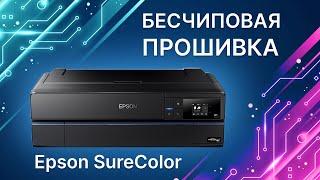 Прошить в бесчиповый принтер Epson SureColor. Обновляем прошивку с помощью ключа INKCHIP