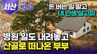 [충남 서산] "뜬구름 잡듯 살고 싶다" 돈 버는 일 말고, 좋아하는 일 하며 살고 싶단 마음 하나로 하던 일 다 내려놓고 이른 시골행 선택한 부부｜#한국기행 #방방곡고