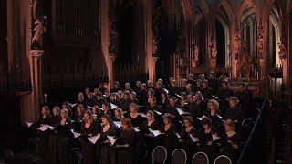 Barber - AGNUS DEI (arr. Adagio for Strings) - Laurens Symfonisch - LIVE