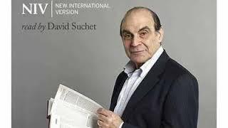 David Suchet NIV Bible 1149 James 3